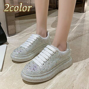 Xj[J[ fB[X [XAbv CXg[ r  gh XCh ubN zCg 5cmgUP 