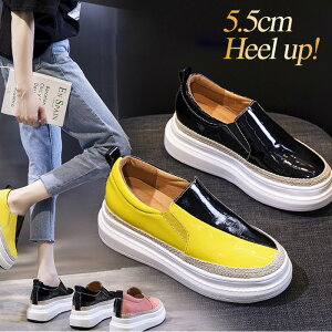 Xb| fB[X Xb| U[Xb| {v oCJ[ Gi Ey ɂ ʋC g5.5cmUP 