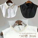 つけ襟 フェイク襟 フリル シースルー パール かわいい 胸元隠し...