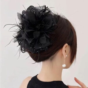 wAANZT[ wANbv { t@[ CXg[ LL wAAW ubN _X Ќ_X ANZT[  [