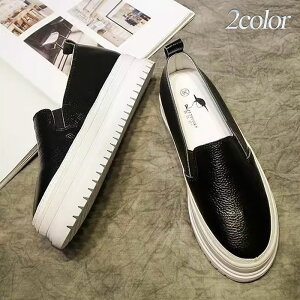 Xb| fB[X {v \[ ubN zCg E炭 ɂ ʋC 