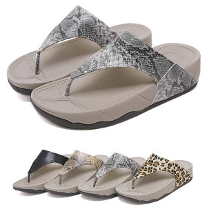 T_ gO r[`T_ fB[X  Aj} tFCNU[ pC\ wr Ip[h qE ZNV[ JWA 4.5cmq[ 