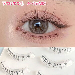 ܂ ܂ ܂ t܂ ACbV ܂GNXe   4~`7~MIX 5yA  [