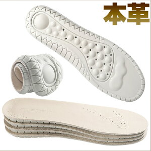 C\[ VRv ebNX vC ~ {v 1cm Ռz d jp v~ rWlXV[Y ~ 22.5cm 27cm