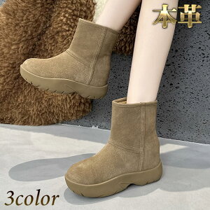 [gu[c V[gu[c fB[X {v XG[h r  [g RR ӂӂ ۉ Ήh g ~h ubN L J[L 