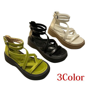 T_ [}T_ OfBG[^[T_ T_u[c T}[V[Y 