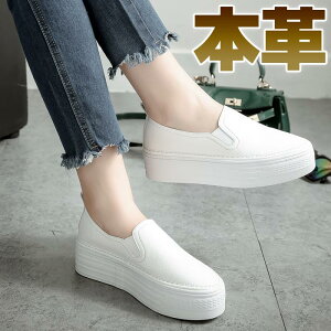 Xb| fB[X  {v ₷ Vv wȂ 킢 I[V[Y ₷ ubN zCg 3.5cmUP