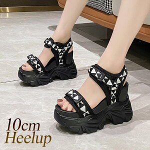 T_ fB[X T_ q[Abv  }WbNe[v Xgbv r[`V[Y  lC 킢 W[ 10cm\[