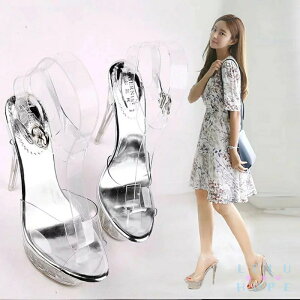 T_ fB[X NAT_ 킢 l T_  ANXgbv q[ TCY 22.0 q[ 14cm nCq[ Ƃ W[ ][g ig 