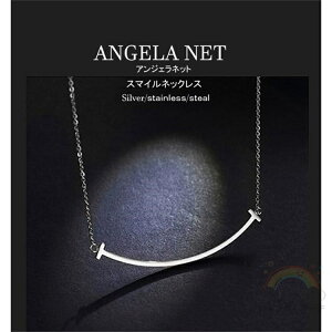 X}ClbNX fB[X 5cm SilverXeX stainless GKg AWX^[t MtgpbP[Wt