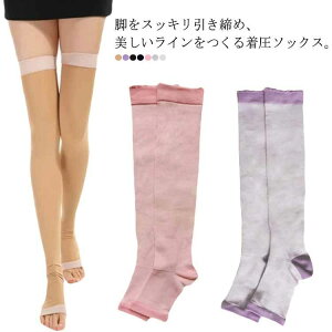 ^Cc ₷ ₷ j[nC ₷ I[vgD p fB[X ނ݉ \bNX MX Xpbc r ނݗ\h si nC\bNX  