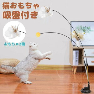 L zՎ mߋ L炵 ˂  LI` Lpi VR̉H_t LeqL̂lCAL̂ Lp L qLvC`F