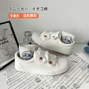 Xj[J[ fB[X tbgV[Y t C`S }WbNe[v JWA ɂ ₷ ₷ r t  