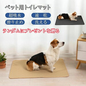 ybg}bg L xbh xbh }bg z}bg q p ~߃}bg ybg}bg ې ybgpi LpV[c ~ ^  p}bg V ^C}b