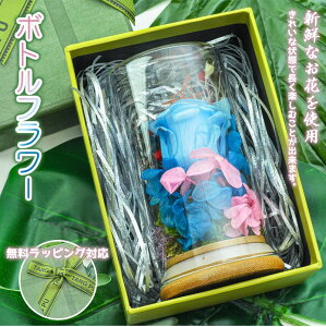 vU[uht[ Mtg o@ MtgbsOΉ ̓ ̓@LO a zCgf[ o^C Ԃ ސEj v[g j KXh[