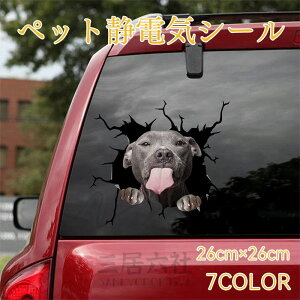 CeAV[ EH[V[@EH[XebJ[ @2Zbg@26x26CM L[g @@@킢@CeAV[@ǂ̃CeA@k@@AǁAhA@