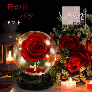 ̓ o Cg KN  dr KXh[ u }eBbN ͋C o lC   ޏ  o^C zCgf[  LO a j hV̓ 