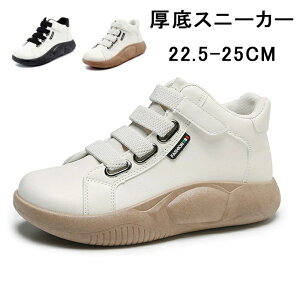 fB[X V[Y O Xj[J[ Xj[J[ fB[X Xb|  RtH[gV[Y  C nCJbgXj[J[  fB[X Xj[J[ f