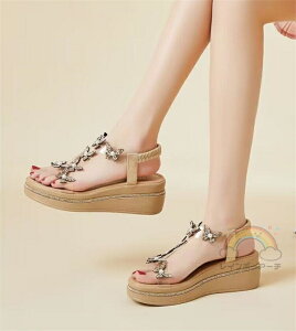 T_ fB[X EFbW\[  EGbW\[ T_   q[T_ ANXgbv GXph[ W[g Xg[   TCY 