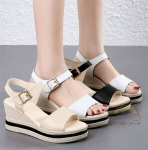 T_ fB[X EFbW\[  EGbW\[ T_   q[T_ ANXgbv GXph[ W[g Xg[   TCY 