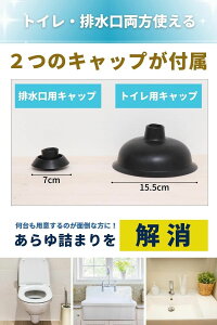  Lb` ʏ C gCvW[ ƒpg rN[i o[Jbv p) r (gC pCvN[i[