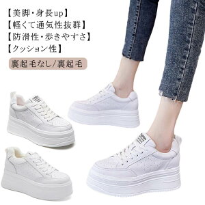 Xj[J[ 7cmq[ _bhXj[J[ jOV[Y r y zCgXj[J[ fB[X [Jbg C JWAV[Y C gUP  h ʊw ʋ ʋC 