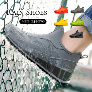 Cu[c V[gu[c Y am jp hu[c CV[Y C JC C  J CObY r y  h h  ɂ W[ ʋ 