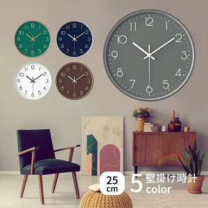 v Ǌ| Â É XC[v bj 25cm |v k A bj ₷ Ȃ 킢  n O[ lCr[ uE O[ ݌n Vv dr rO _C