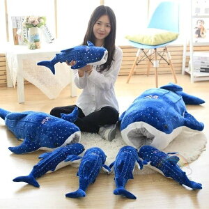  ʂ T  ~  ޏ l LbY qǂ ӂӂŖ 킢 WxCU q a LO  l炵 v[g Mtg oYj 55cm 150cm
