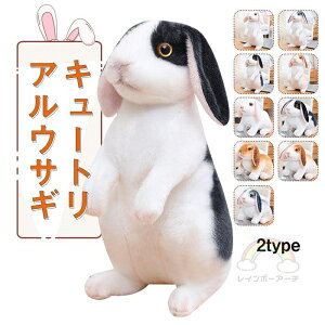 ʂ e ETM A CeA 킢 z[hbv  NX}X VNj aMtg