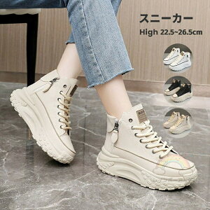  Xj[J[ U[ fB[X Xj[J[ C EH[LOV[Y ꂢ    ₷ y 5Z` _bhXj[J[ אg Cq[Xj[J[ H~ ʊw 