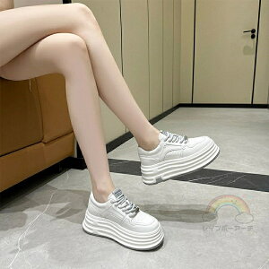  Xj[J[ fB[X [Jbg   JWA gAbv w {v H ؍ X|[cV[Y 6cm ꂢ C  אg Xj[J[fB[X ₷ uh y 