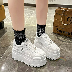  Xj[J[ fB[X [Jbg  t  \tg JWA gAbv {v 8cm ꂢ C  אg Xj[J[fB[X ₷ uh ؍ y _bhXj[J