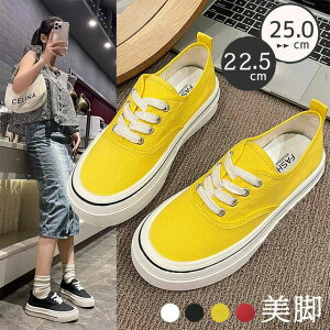 Xj[J[ Xb| fB[X Xj[J[ ʋC r V[Y IV K y ؂ V[Y vbgtH[ gAbv ʊw ʋ _炩 JWA ₷