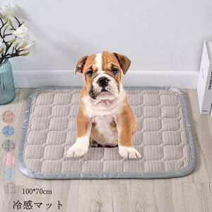 ⊴~pbh h p Lp Ђ}bg L ~ ې JԂp\ ybgpV[c ⊴ V[c bV ėp ybgp MǑ΍ Q ⊴~