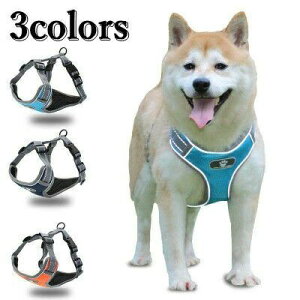  n[lX[h n[lX[hZbg  n[lX [h Ck hbO dog ˃GbW ^ p ybgp U o ȒP V