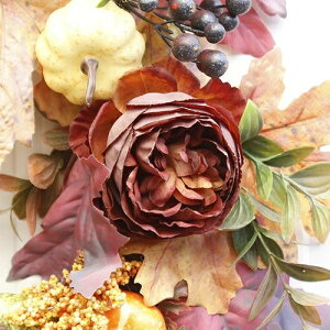 i   hCt[ nEB[ i`  k  o [Y pvL ڂ [X 48cm