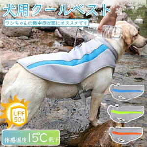 pN[xXg  ėp N[ ^ ^  N[EFA   N[ G炷 N[xXg Ђ ObY MǑ΍ U ybg  ybgpi ybg⊴EFA3XL/4