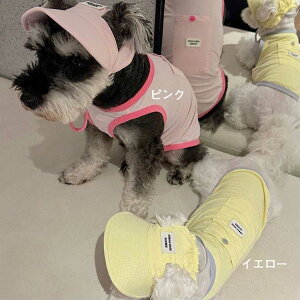  悯 h ڐG⊴ ̕ hbOEGA EFA  ^Ngbv p ^ ^ 