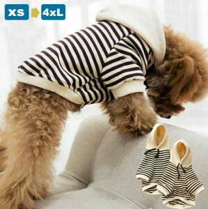 ^ ^ ^ hbO   ybgpi pi t[h {[_[ Ƃ p[J[ hbOEFA 