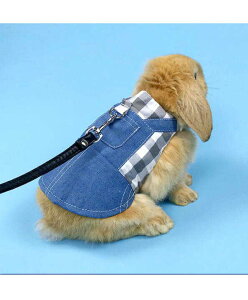 bg e    W[Y ybgpi ybgp ybg [h n[lX ybgEFA 2_Zbg ybgpi