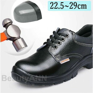 SC Y fB[X  {v ݔh~ 傫TCY ʋC y Ɨpi ɂ y ܐی  ƌC jp  ̓ ގ v[g Mtg