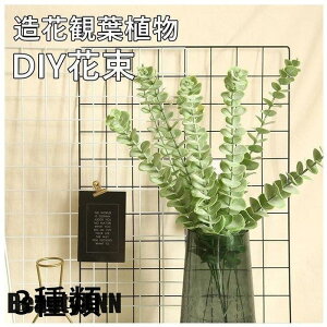 \[vt[  CeA AW DIY ԑ u[P ֑ t  5{ JXj 䋟 ItBX a ԕr z  ސEj   ԑ ~ ގ 