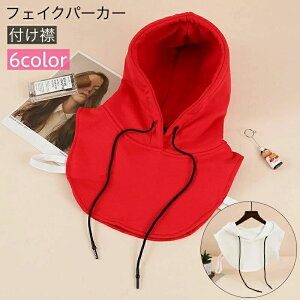 t  t[ht tFCNp[J[ fB[X  t[hR tFCNC[h d˒ JWA Vv  킢