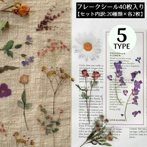 t[NV[ XebJ[ 40Zbg R[W  A 蒠fR Ao L J_[ v[g Mtg g