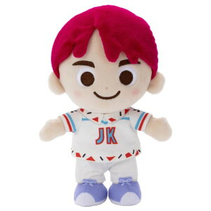 TinyTAN �ʂ������S Jung Kook ������20cm