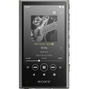 ソニー(SONY) ウォークマン 32GB A300シリーズ NW-A306 : ワイヤレスでも ハイレゾワイヤレス/ストリーミング対応/LDA…