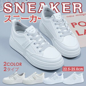 Xj[J[ Xj[J[ fB[X C LbY qV[Y V[Y _bh C ubN zCg   ʊw w EH[LO ~ [Jbg   Ȃ 