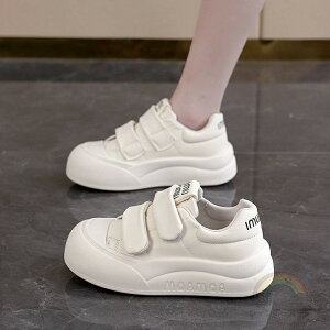  Xj[J[ fB[X [Jbg  JWA w t@bV H ؍ jOV[Y ꂢ gAbv C  אg Xj[J[fB[X ₷ uh y