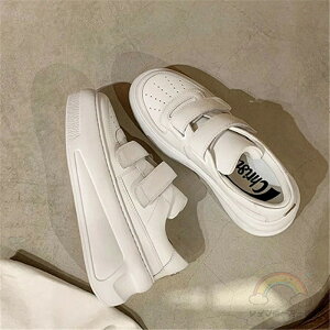  Xj[J[ fB[X [Jbg  JWA EhgD gAbv {v Ί }WbNe[v ꂢ C  אg Xj[J[fB[X ₷ uh ؍ y